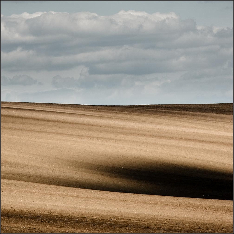 DSC_7938-Edit.jpg