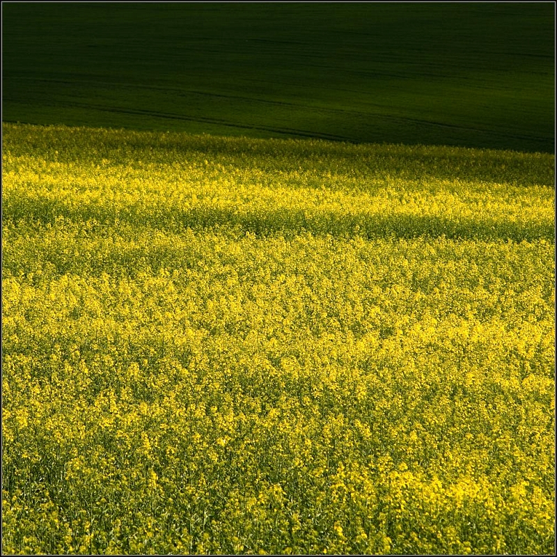DSC_7947-Edit.jpg