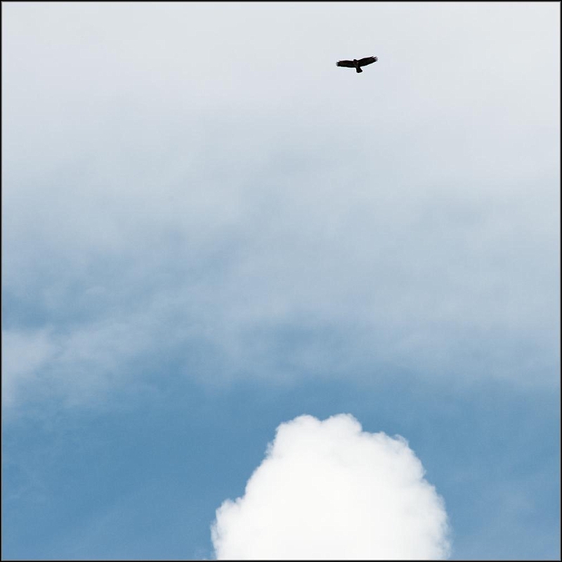 DSC_9017-Edit.jpg