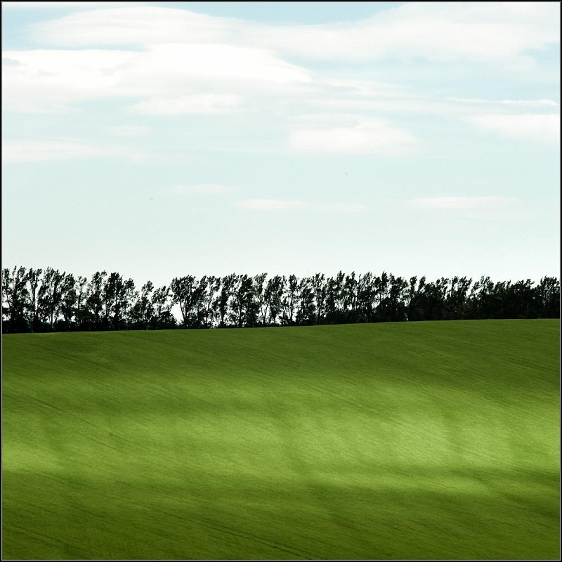 DSC_9174-Edit-Edit.jpg