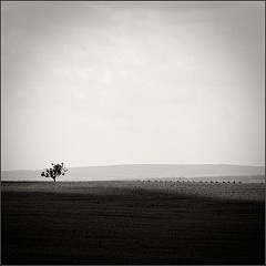 DSC_0395-Edit