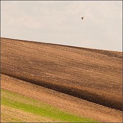 DSC_0418-Edit-2