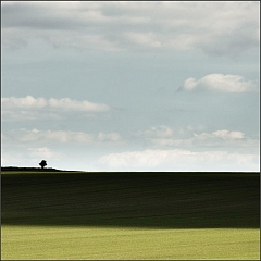 DSC_7934-Edit
