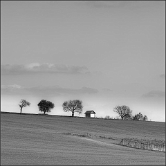 DSC_8005-Edit
