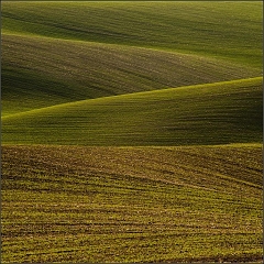 DSC_8066-Edit