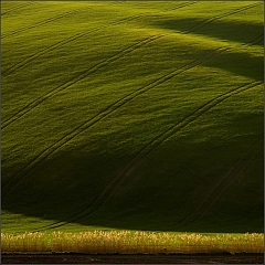 DSC_8097-Edit