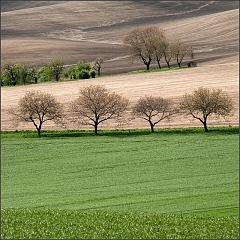 DSC_8990-Edit