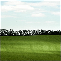 DSC_9174-Edit-Edit