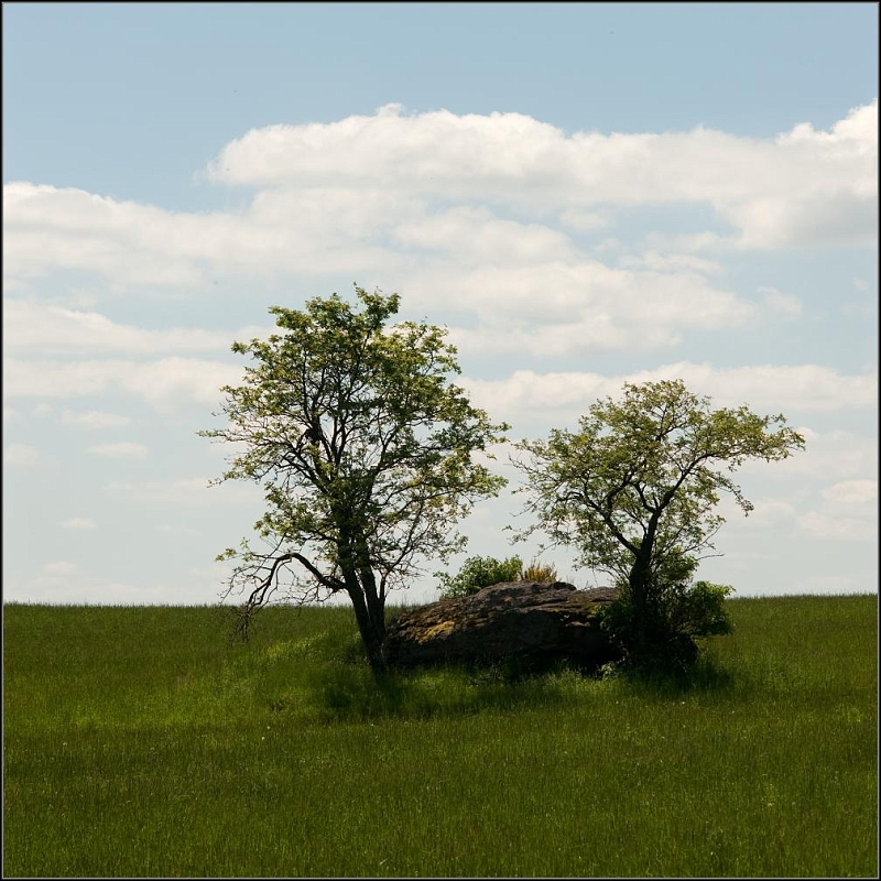 DSC_9247-Edit.jpg