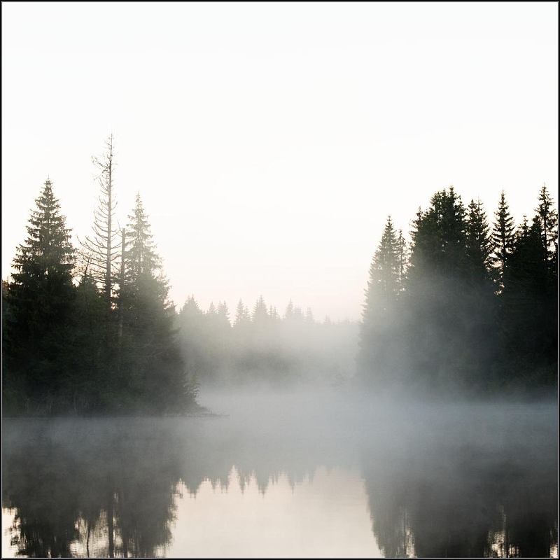 DSC_9319-Edit.jpg