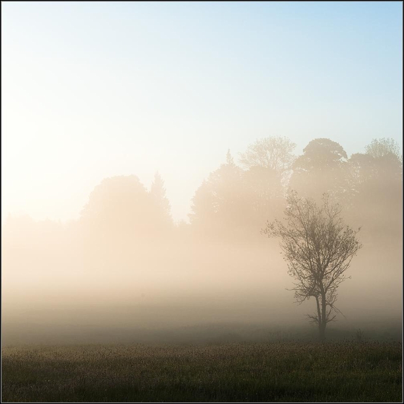 DSC_9346-Edit.jpg