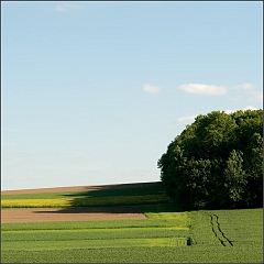 DSC_9241-Edit