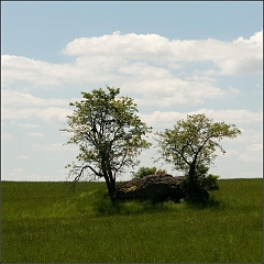 DSC_9247-Edit