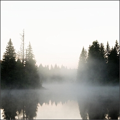 DSC_9319-Edit