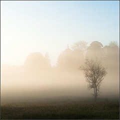 DSC_9346-Edit