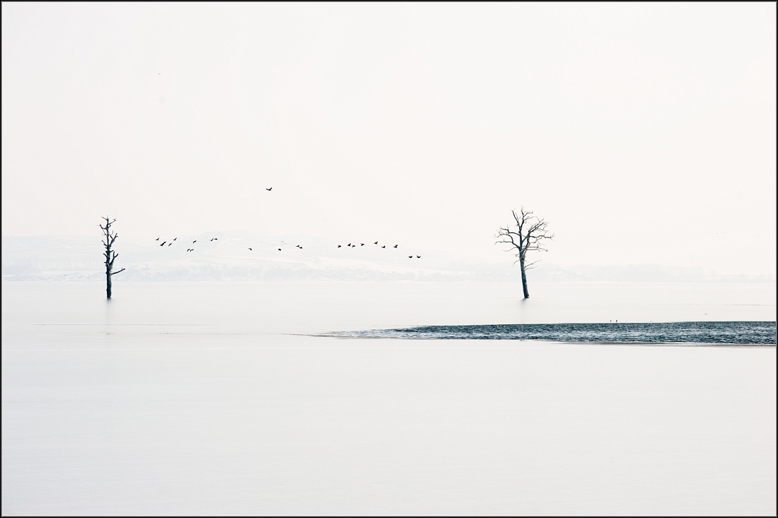 DSC_2559-Edit.jpg