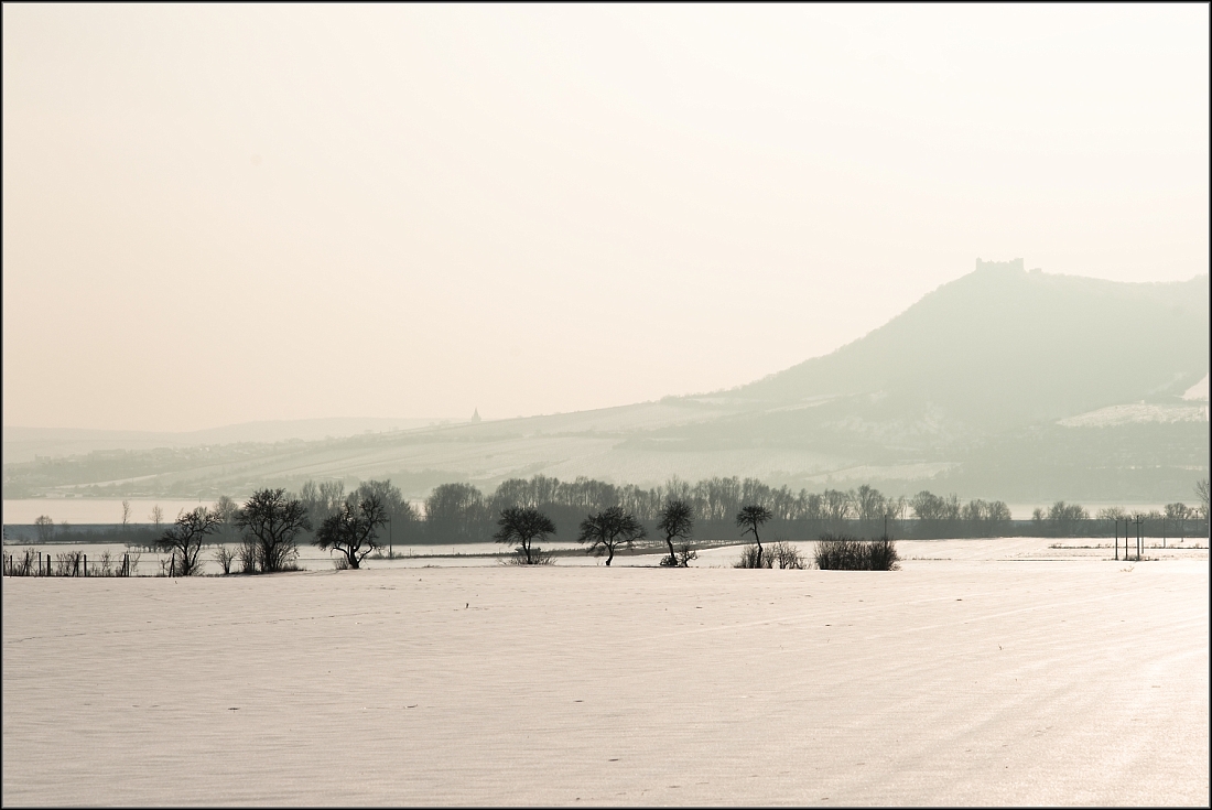 DSC_2588-Edit-2.jpg