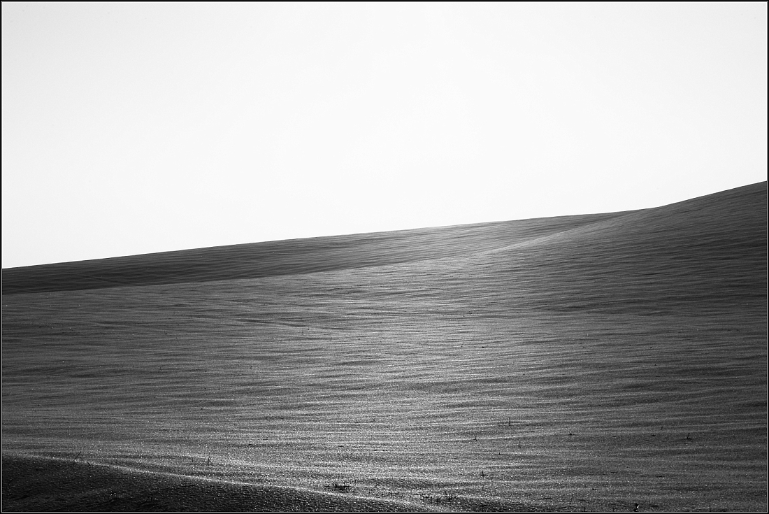 DSC_2727-Edit-Edit.jpg