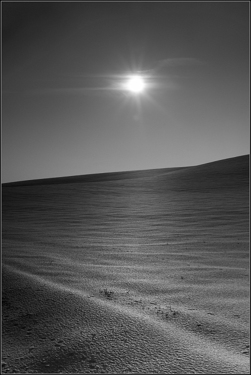DSC_2729-Edit-Edit.jpg