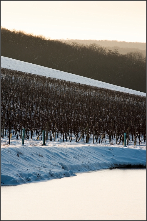 DSC_2763-Edit.jpg