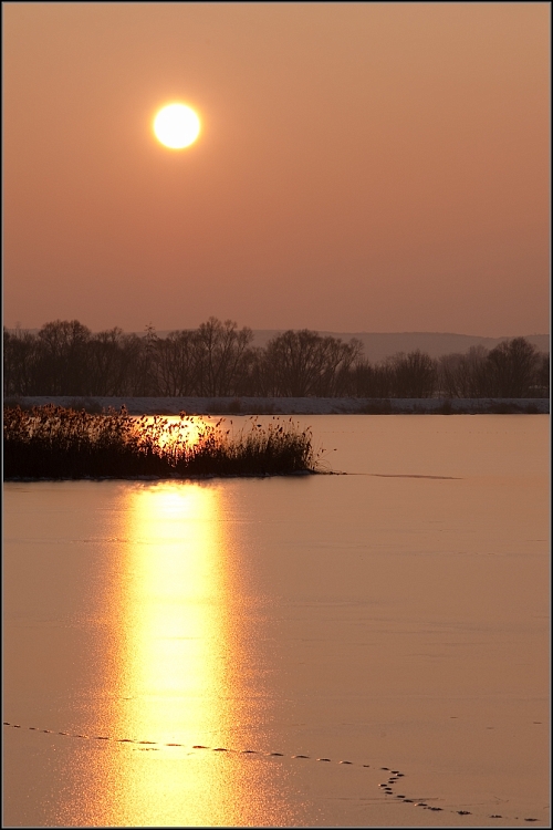 DSC_2847-Edit.jpg