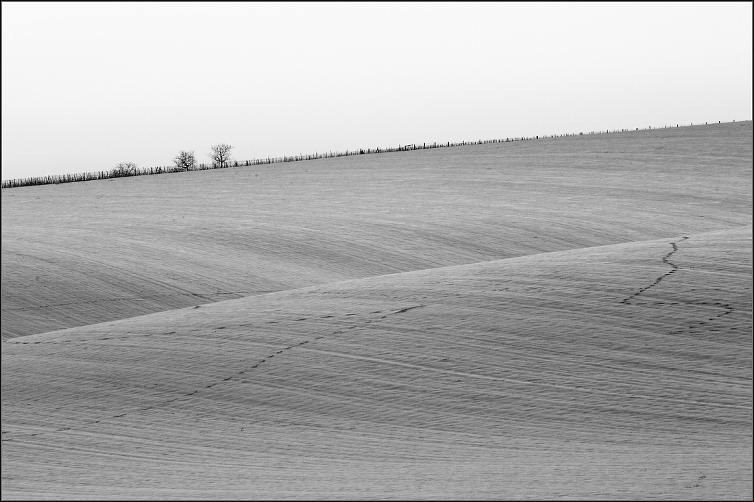 DSC_2900-Edit.jpg