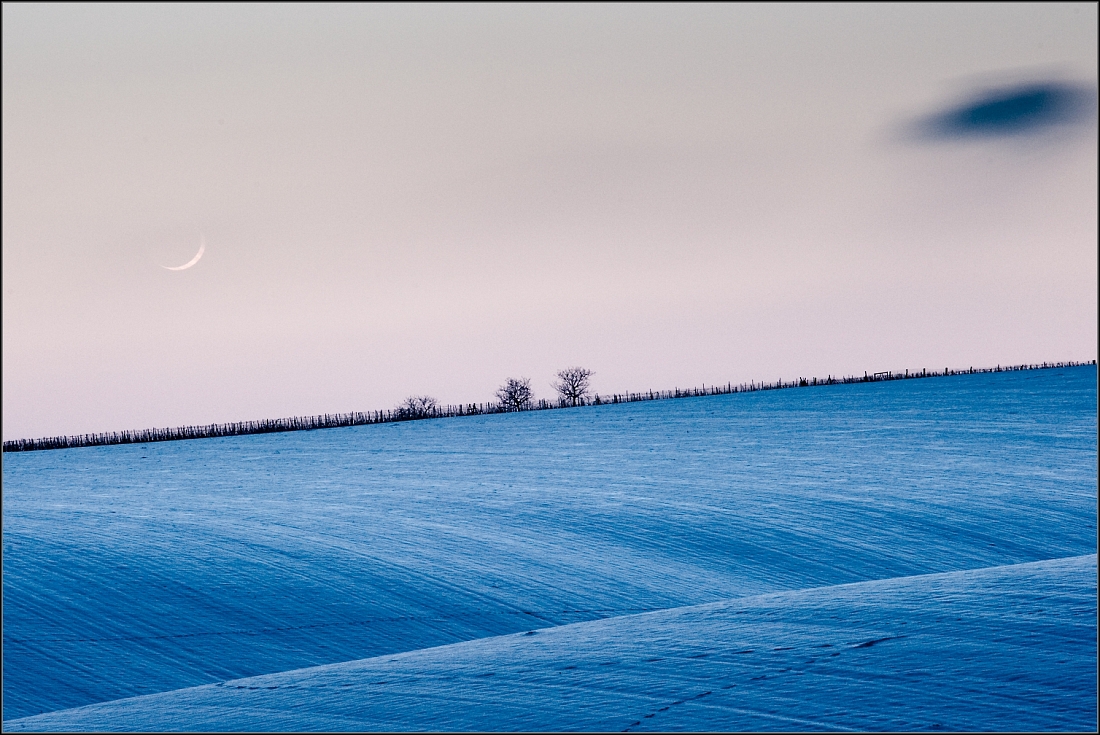DSC_2912-Edit.jpg