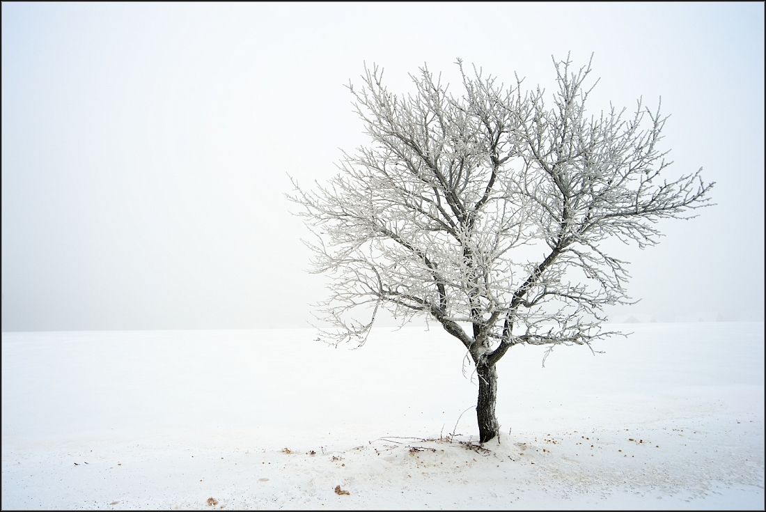 DSC_2958-Edit-Edit.jpg