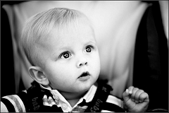 DSC_7986-Edit