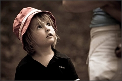 DSC_8168-Edit