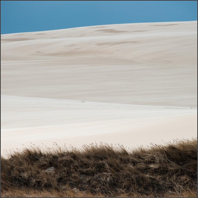 DSC_7274-Edit-Edit.jpg