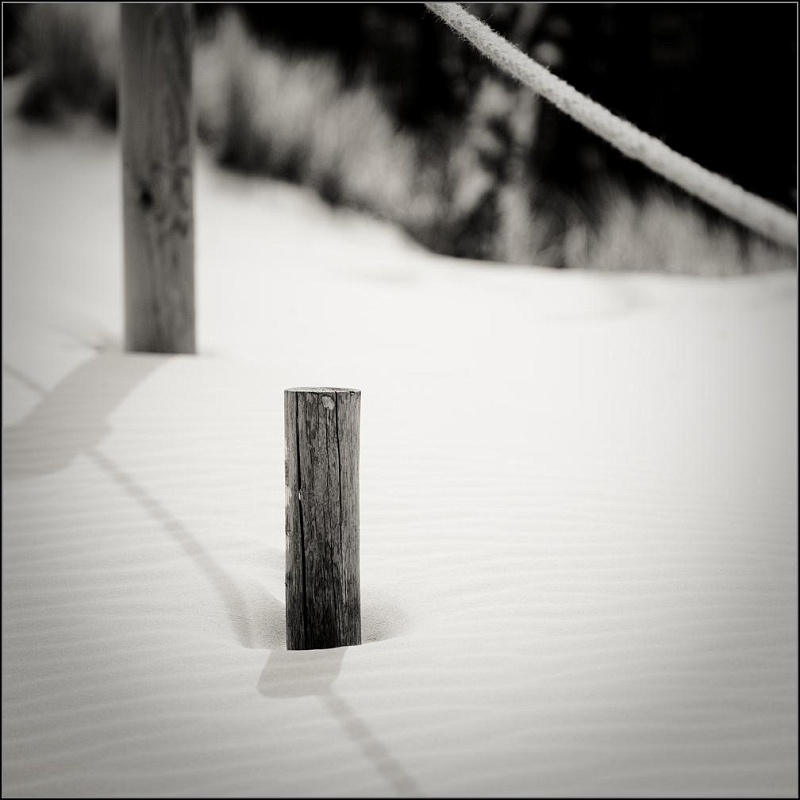 DSC_7324-Edit-Edit.jpg