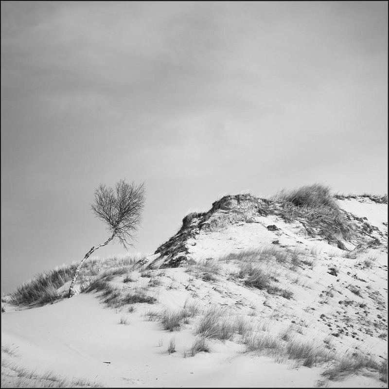 DSC_7392-Edit-Edit.jpg