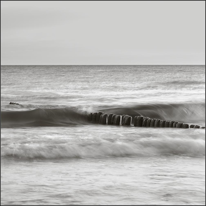 DSC_7486-Edit-Edit.jpg
