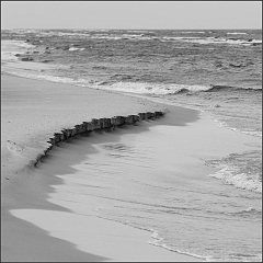 DSC_7244-Edit