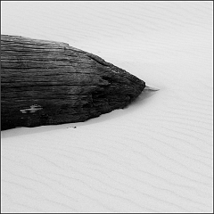 DSC_7249-Edit
