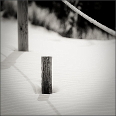 DSC_7324-Edit-Edit