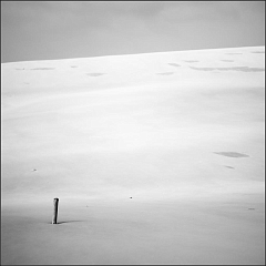 DSC_7349-Edit-Edit