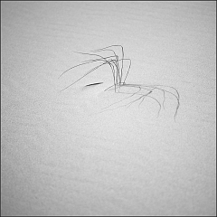 DSC_7382-Edit-2