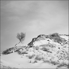 DSC_7392-Edit-Edit