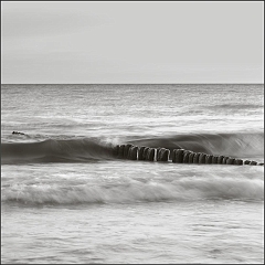 DSC_7486-Edit-Edit