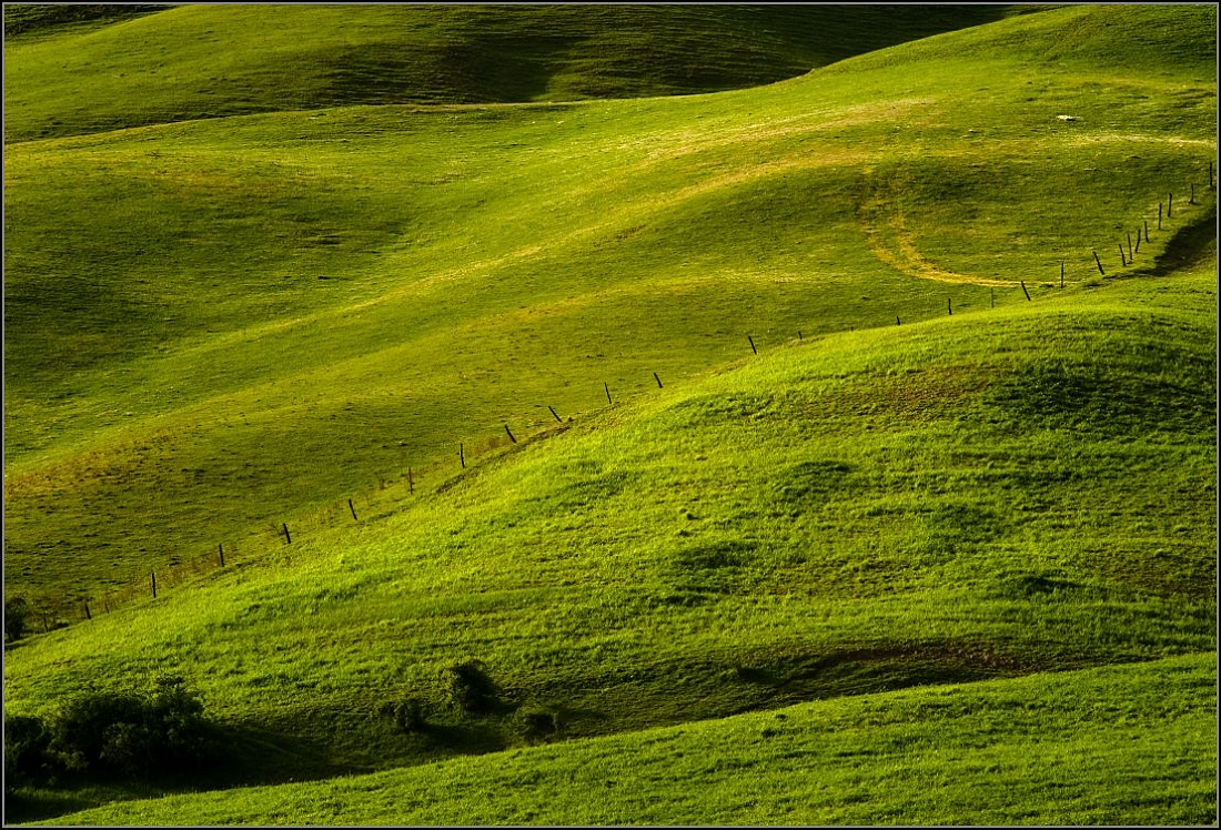 DSC_4991-Edit.jpg