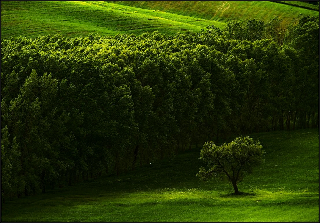 DSC_5098-Edit.jpg
