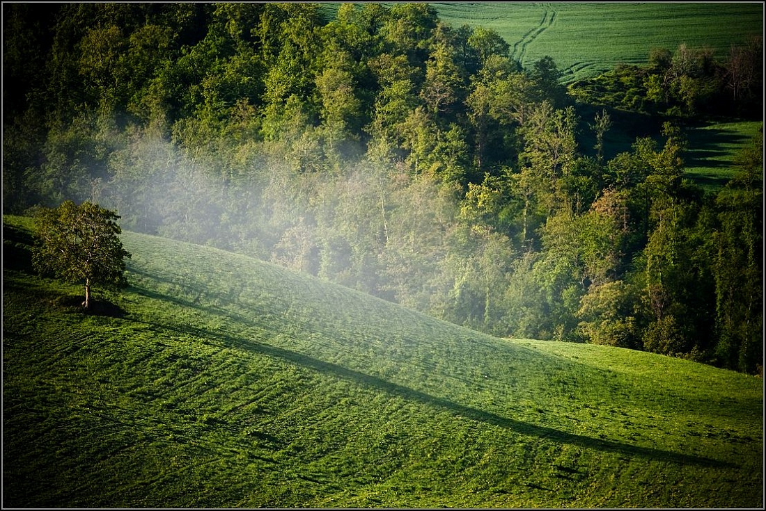 DSC_5400-Edit.jpg