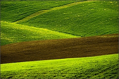 DSC_5033-Edit