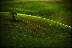 DSC_5102-Edit