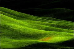 DSC_5252-Edit-2