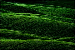 DSC_5442-Edit