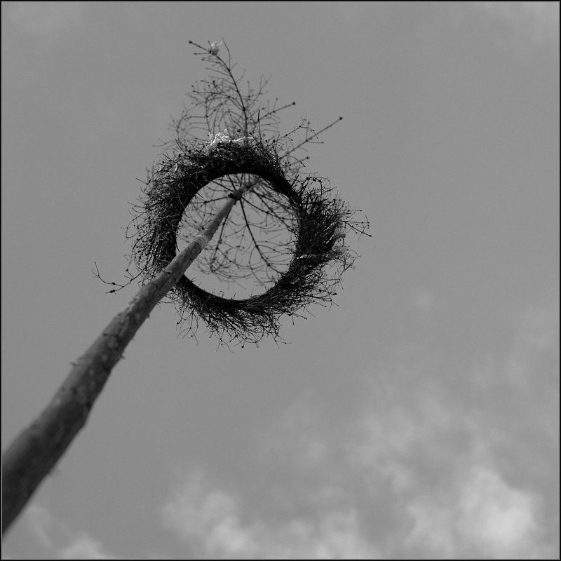 DSC_6952-Edit.jpg