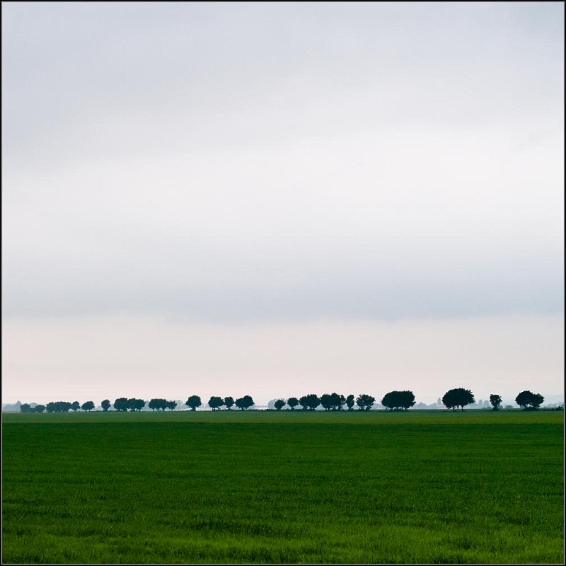 DSC_9523-Edit.jpg